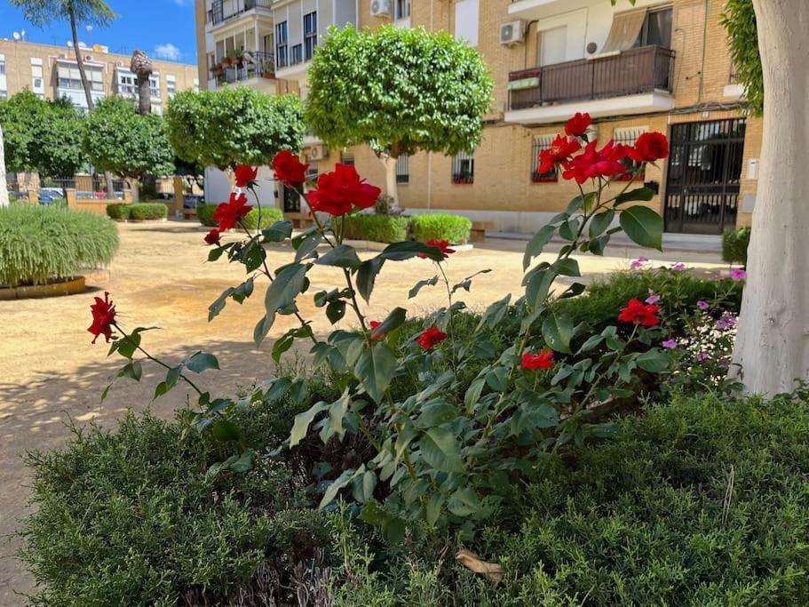 סביליה Triana Family Suites מראה חיצוני תמונה