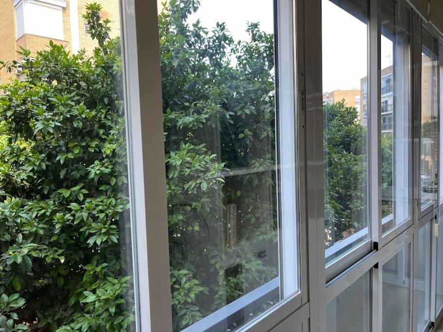 סביליה Triana Family Suites מראה חיצוני תמונה